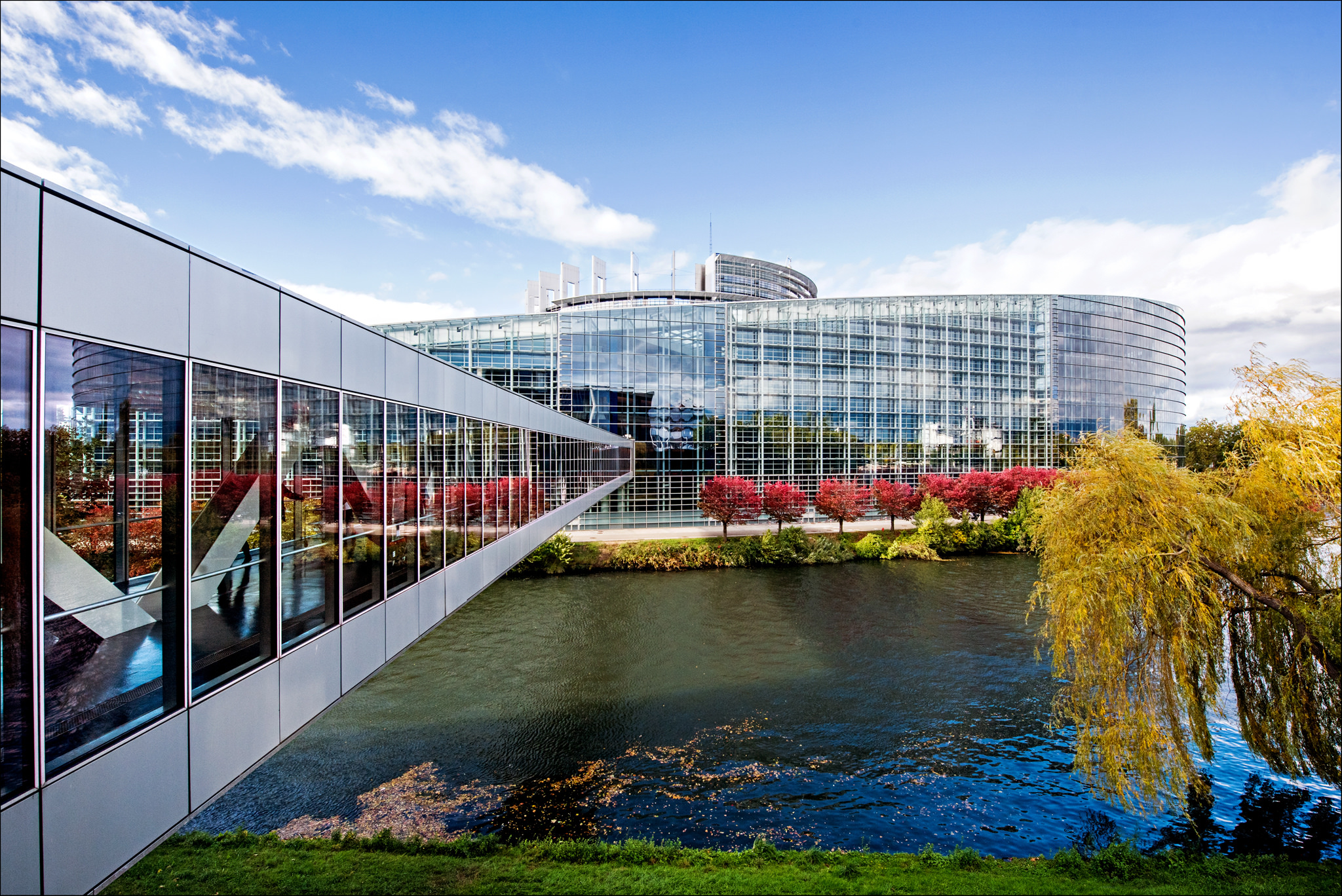 Strasbourg - Plenary session November 2015